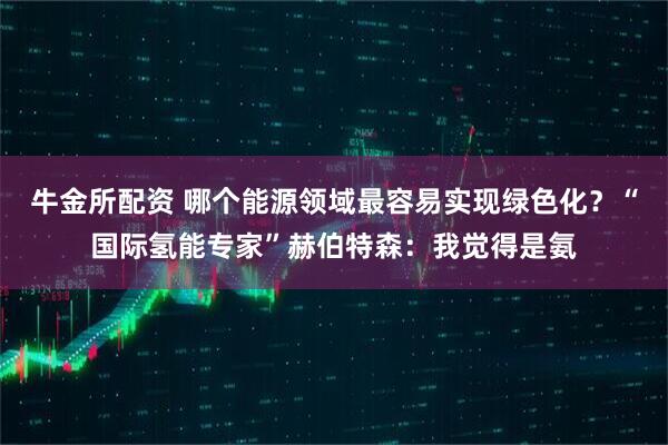 牛金所配资 哪个能源领域最容易实现绿色化？“国际氢能专家”赫伯特森：我觉得是氨