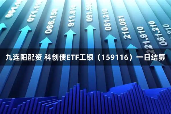 九连阳配资 科创债ETF工银（159116）一日结募